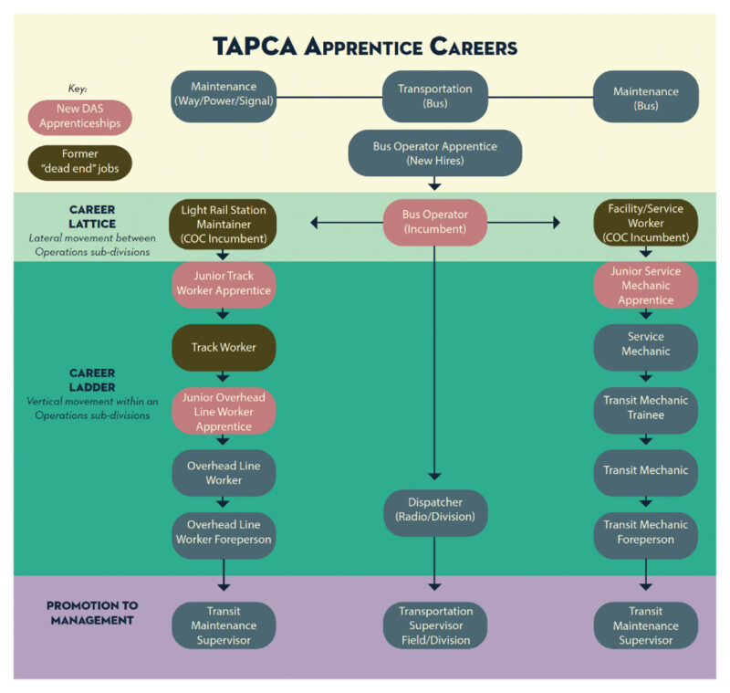 Example of apprentice careers at TAPCA